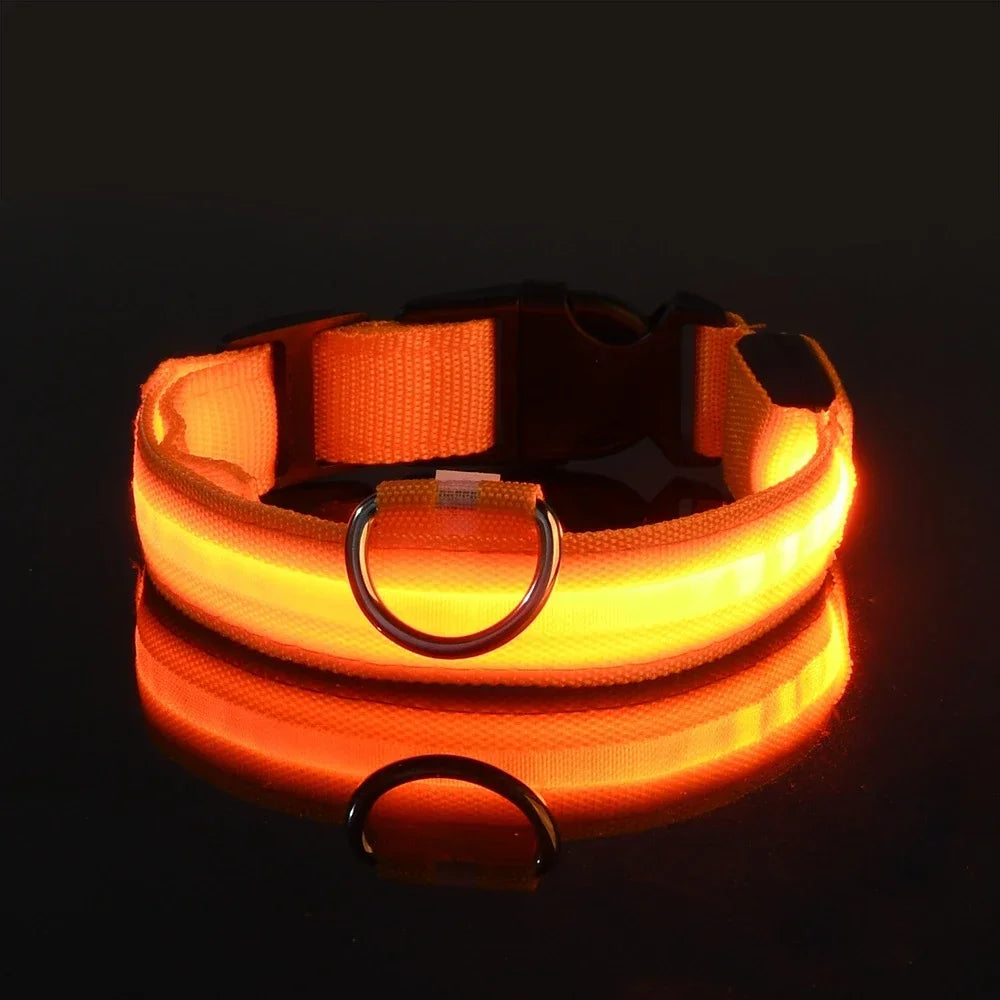 Dog Collar Nylon LED Night Safety Flashing Glow In The Dark Pet Dog Leash pet Dogs Luminous Fluorescent dog accessories collar